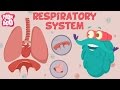 Respiratory system  the dr binocs show  learns for kids
