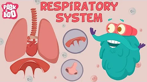 Respiratory System | The Dr. Binocs Show | Learn Videos For Kids - 天天要闻