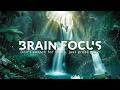 FOCUS MUSIC FOR WORK AND STUDY 🌿 PRODUCTIVITY MODE, CALM BACKGROUND AND DEEP CONCENTRATION