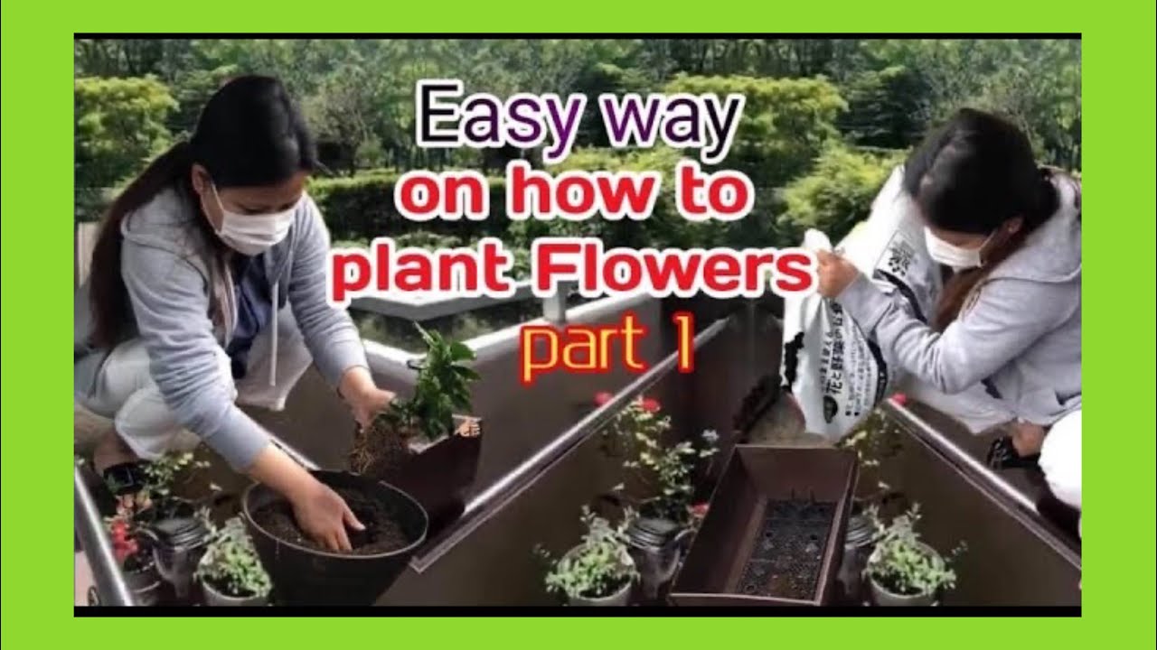 EASY WAY TO PLANT YOUR FLOWERS ||RETAKE PART 1 - YouTube
