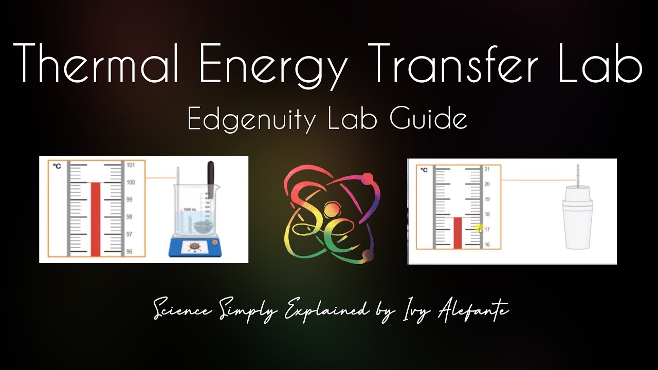 lab energy transfer assignment reflect on the lab quizlet