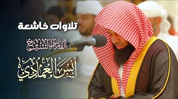 ترتيل بديع وعذب ما تيسر من سورة البقرة بصوت الشيخ أنس العمادي | عشاء 23-8- 1446 هـ