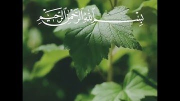 تلاوة الصباح بصوت الشيخ خالد الراشد فك الله أسره