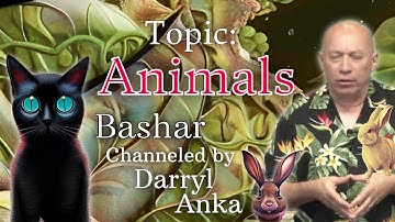 Bashar: Animals