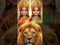 माँ चामुंडा का दिव्य आगमन 🔱🙏 #shortsशेर के साथ माँ चामुंडा का चमत्कार 😭✨ #shortsMaa Chamunda