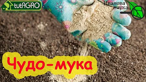 ИЗБАВЬТЕСЬ ОТ ЛИЧИНОК МАЙСКОГО ЖУКА ПРЯМО СЕЙЧАС ДЕШЕВО и НАДЕЖНО. Без химии и препаратов.