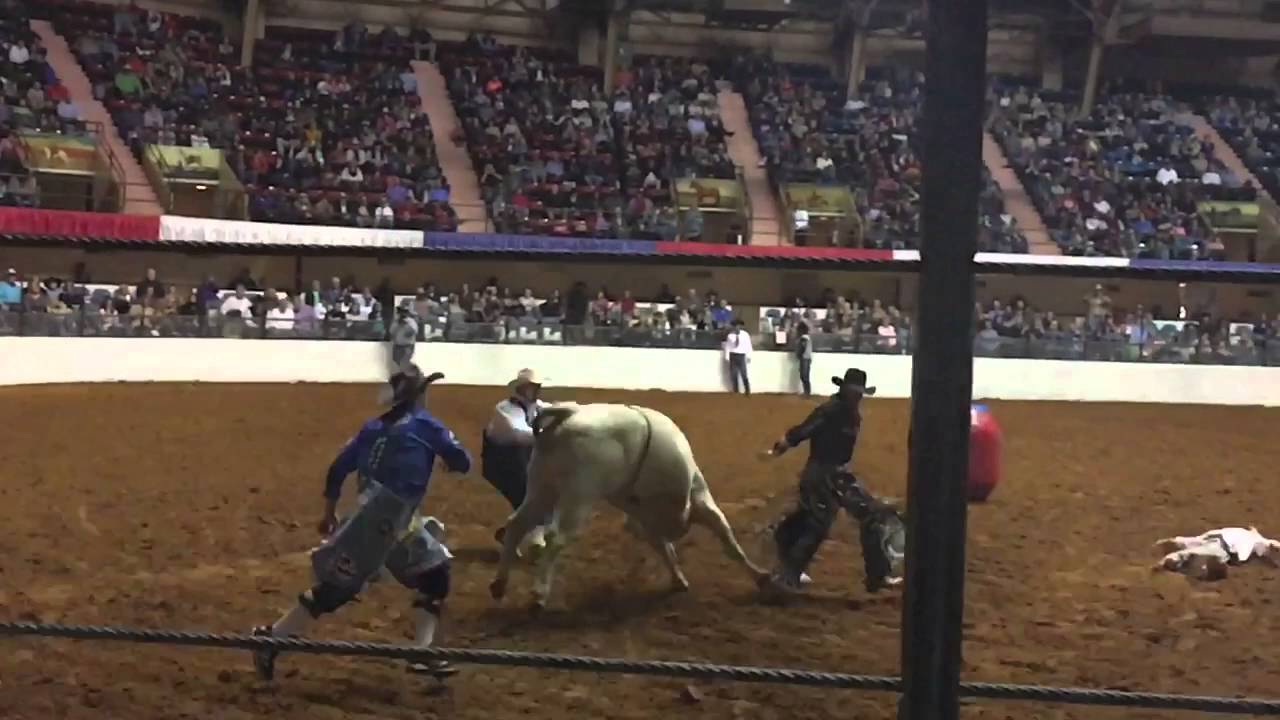Fort Worth Rodeo 2016