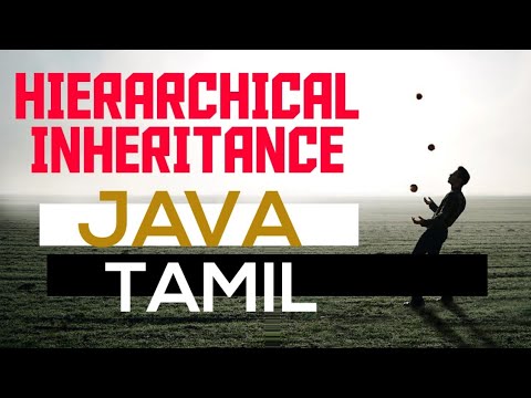 Hierarchical Inheritance | java | Tamil