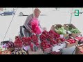 ПОГОДА ЗМІНЮЄТЬСЯ! ДЕ ЧЕКАТИ ДОЩІВ, А ДЕ ДО +29 | Прогноз погоди на 10 червня