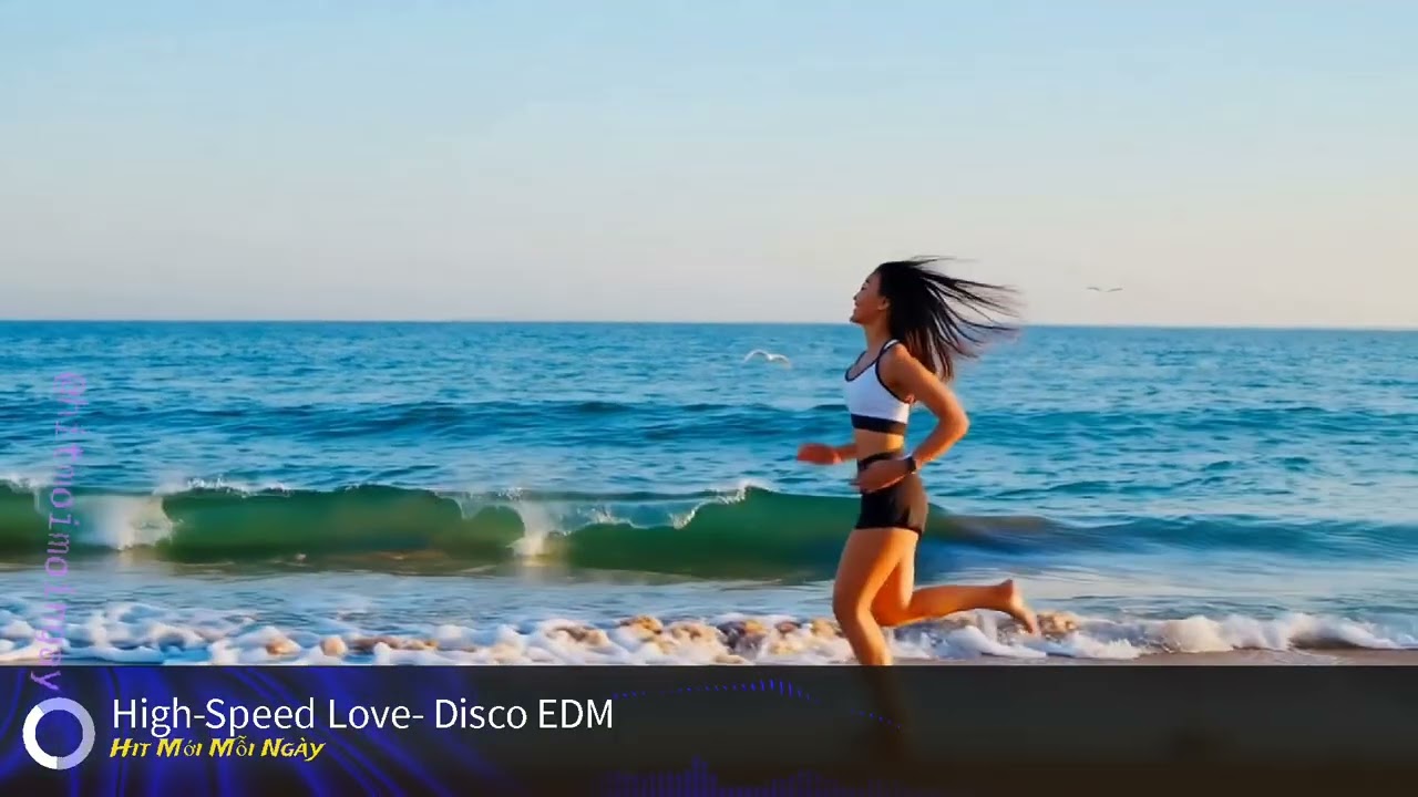 High Speed Love  Disco EDM , Disco Dance Pop EDM influence🔥
