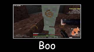 Rare Elusive? Mcsr Ranked Deaths? Day 275