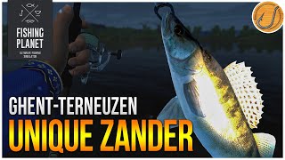 Unique Zander of Ghent-Terneuzen Canal! | (Fishing Planet: Test Your Spot Series!)