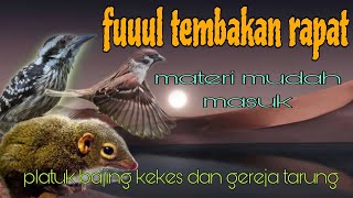 Tembakan fuul materi platuk Sampit bajing kekes dan gereja tarung 🔥🔥
