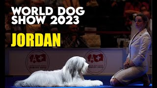 WORLD DOG SHOW 2023. Geneve / Bearded Collie