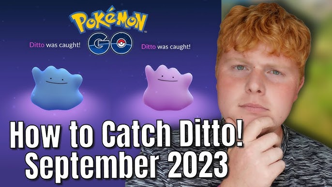 How to CATCH Ditto in August 2023! FULL Ditto disguises Pokémon Go