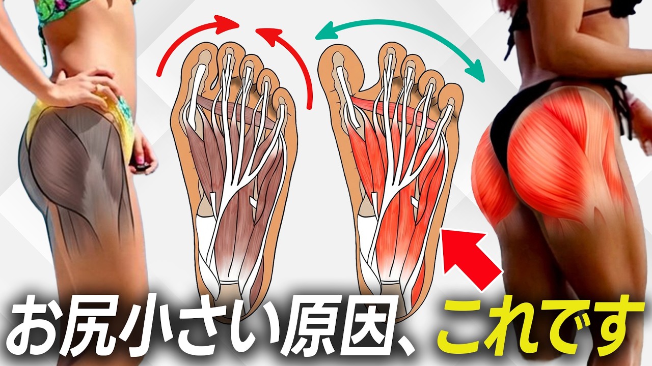 お尻が育たない原因と今日からできる改善法|IFBBプロが解説