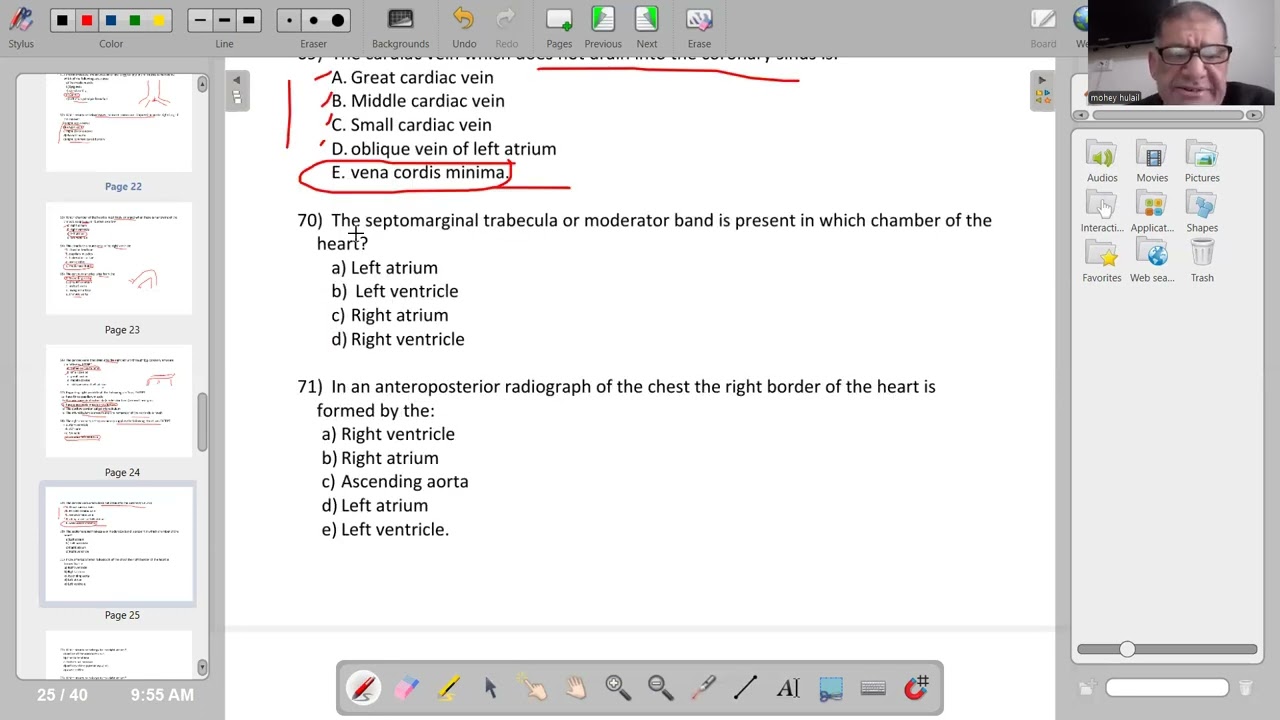 M.C.Q on thorax anatomy for medical  students part three