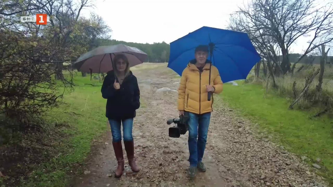 Три истории, в които селото заменя града, 