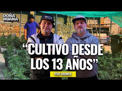 The story of an exiled grower - FEDE GROWER