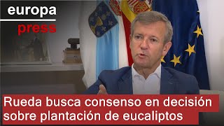 Rueda asume que la decisión sobre las plantaciones de eucalipto "no contentará a todo el mundo"