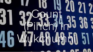 Wukchumni Lesson 15 - Numbers