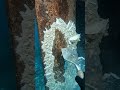 Extreme Marine Restoration: White Stones & Brittle Barnacle Shatter 🚢