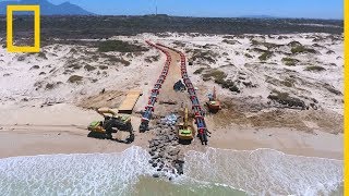 Ciudad del Cabo sufre la peor sequía de su historia | National Geographic en Español