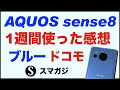 【AQUOS sense8（SH-54D）】ブルー。ドコモ版。1週間使っての感想レビュー。ベンチマーク・動作速度。カメラ・写真撮影、バッテリー持ち。ケースやフィルムも。軽くて持ちやすい。普段使いに