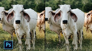 REMOVE FENCE with Simple Step - Photoshop Tutorial