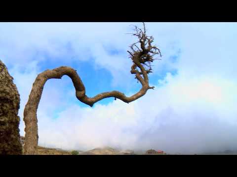 اركــــــــــويت