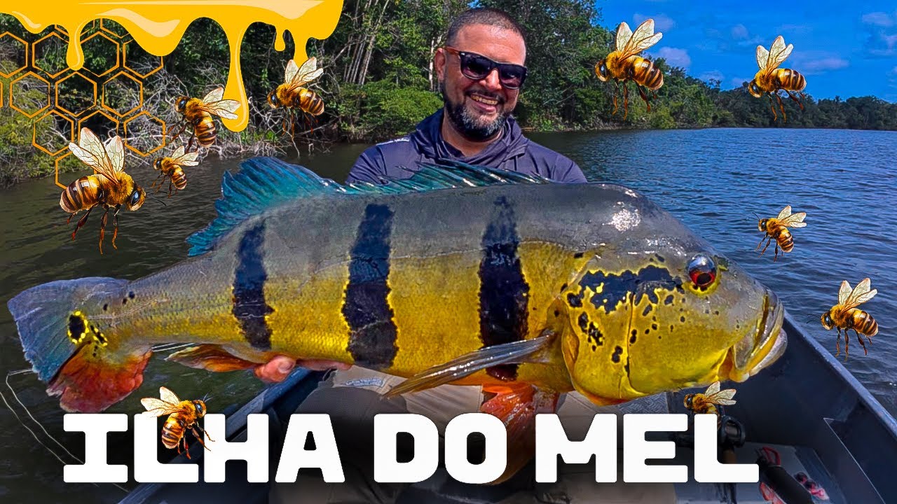 PARTE 02 ILHA DO MEL - BARCELOS UM DOS MELHORES DESTINOS NA AMAZÔNIA, PROGRAMA PURA PESCA.