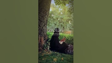 آيات// أكتب شيء تؤجر عليه🤍🌺 #quran #المصحف #الرحمن #اكسبلور #explore