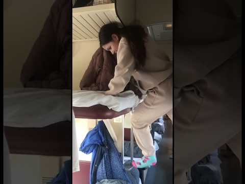 КВЕСТ как забраться на верхнюю полку в поезде #🙈😂😎 #жизненныеистории #смешно #смешноевидео