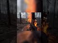 War Vlog Prank Gone Wrong  Epic Trench Heist!