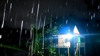 Download Lagu Di guyur hujan deras, camping di hutan MP3 Download Lagu Di guyur hujan deras, camping di hutan MP3