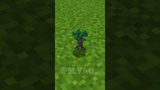 Minecraft GIANT TREES 😱 #minecraft #shorts