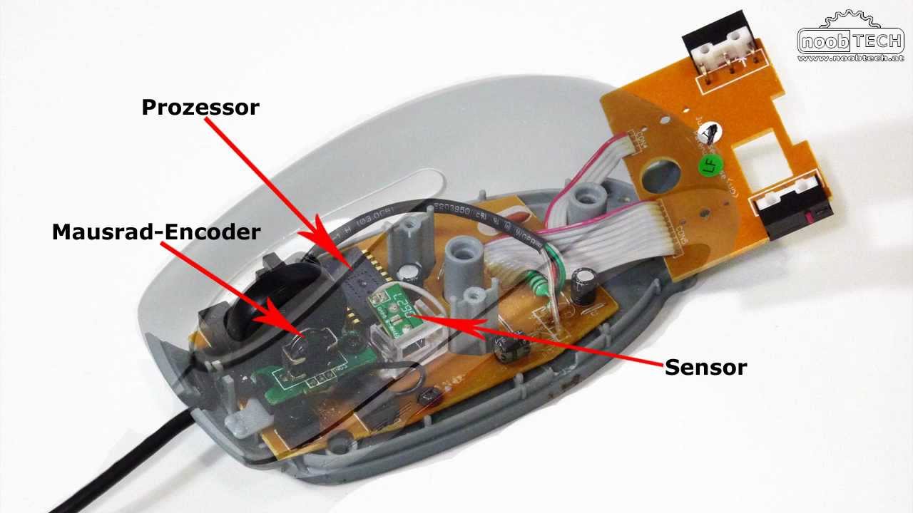 So Funktioniert Eine Maus Noobtechat Youtube