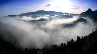 Webtours L.a. Video Promo