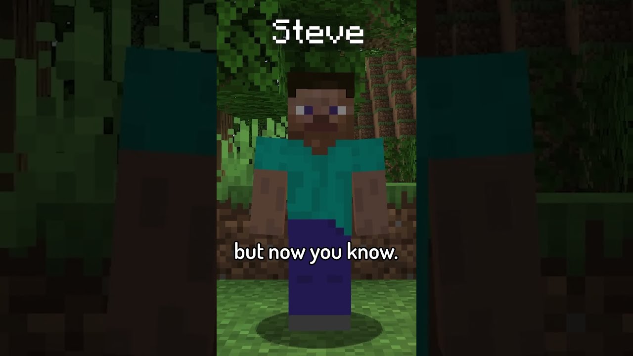 History Of Minecraft S Steve In 40 Seconds
