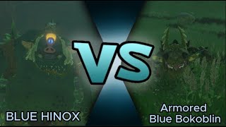 Hinox (Blue) VS Armored Bokoblin - (The Legend of Zelda: Tears of the Kingdom)