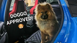REAR SEAT PROTECTOR FOR ANY CAR | 10th Gen HONDA CIVIC