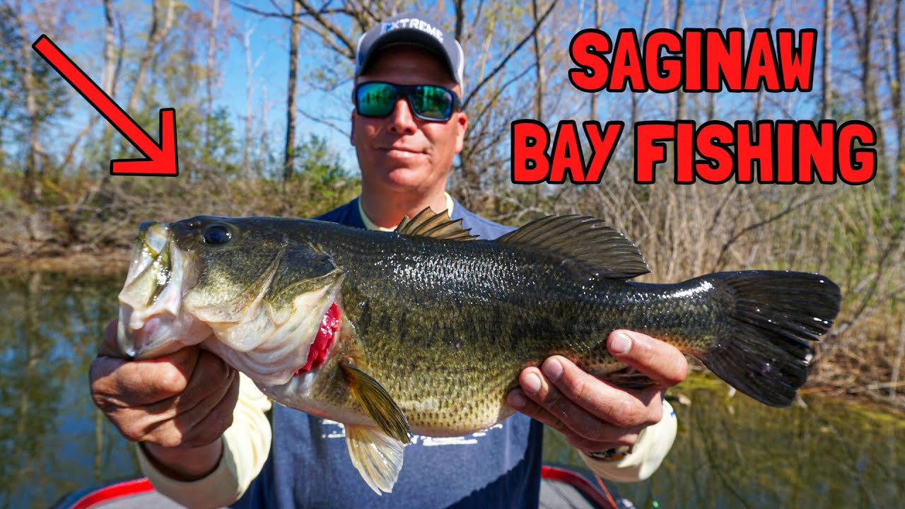 Saginaw Bay Largemouth Bass Fishing Catching Bedding Bass 2021 YouTube