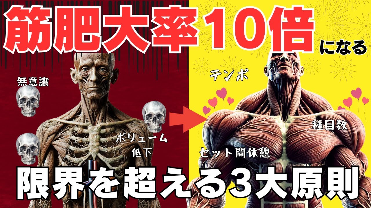 【筋トレ科学】筋肉の限界値を超える3大原則　~セット間休憩時間・種目数・リフティングテンポ~
