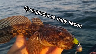 Ловим бычка на силикон на Черном море