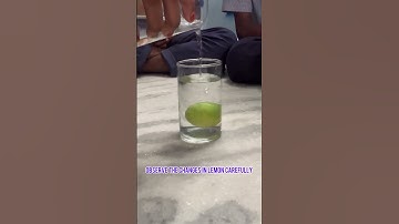 Lemon appears bigger in water| Floating of lemon in water #scienceexperiment #refraction_of_light