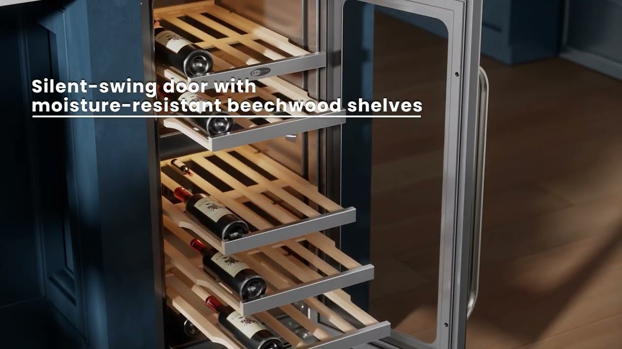 Whynter BSR-029DW Wine Cooler Review | Dual-Zone Precision Cooling for Red & White Wines