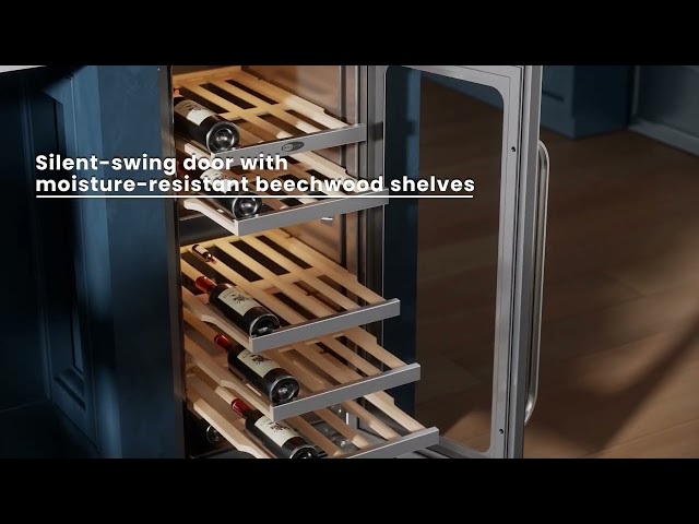 Whynter BSR-029DW Wine Cooler Review | Dual-Zone Precision Cooling for Red & White Wines
