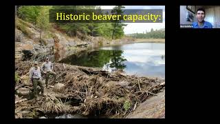 Dam It Partnering with Beavers to Achieve Restoration Goals - Ben Goldfarb