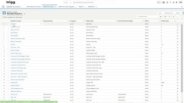 Salesforce Licence Report by Trigg Digital