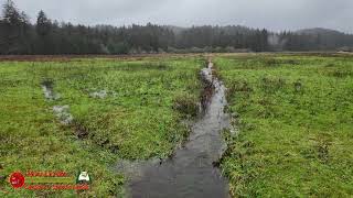 A Rainy Day Adventure